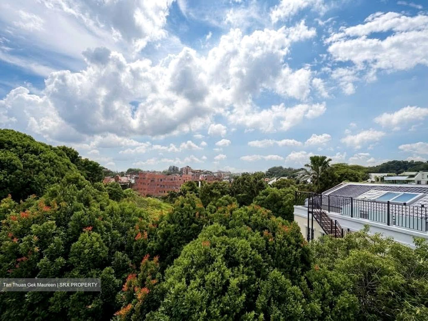 Banyan Park (D5), Terrace #580800551